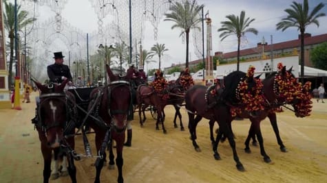 Club Équestre d'Asilah