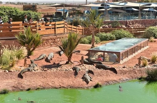 Zoo