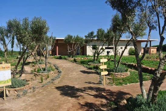 Zoo
