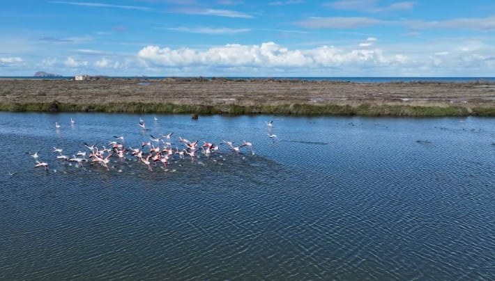 Le Fleuve Moulouya