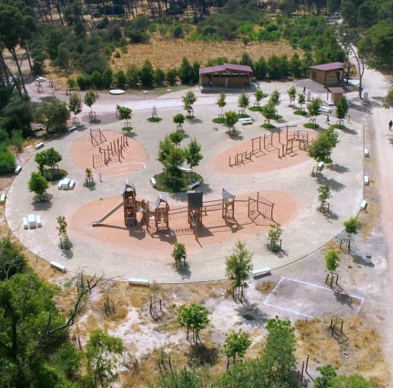 Forêt de Bouskoura