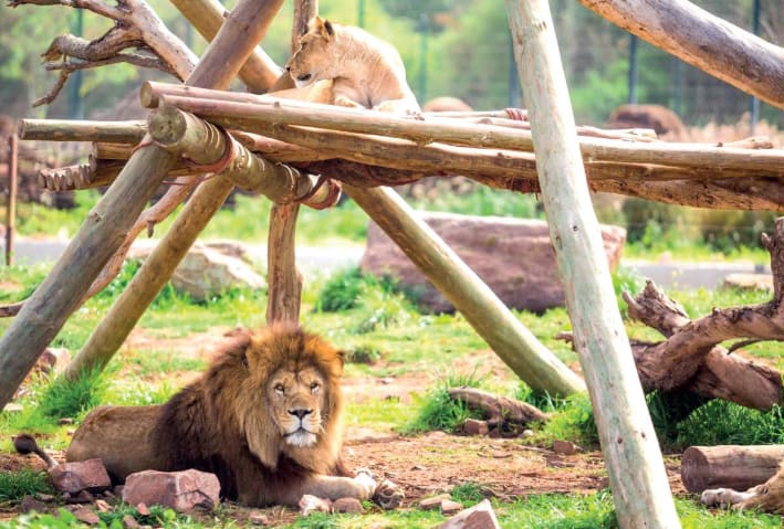 Parc Animalier de Lahboul