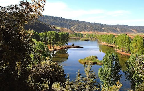 Parc National d'Ifrane