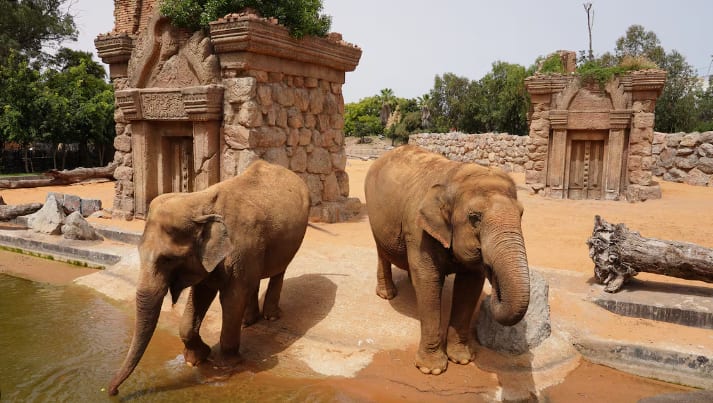 Parc Zoologique d'Aïn Sebaâ