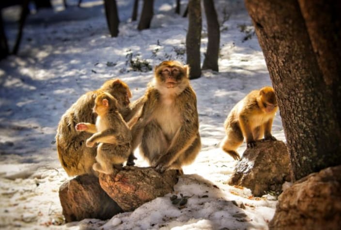 Zoo