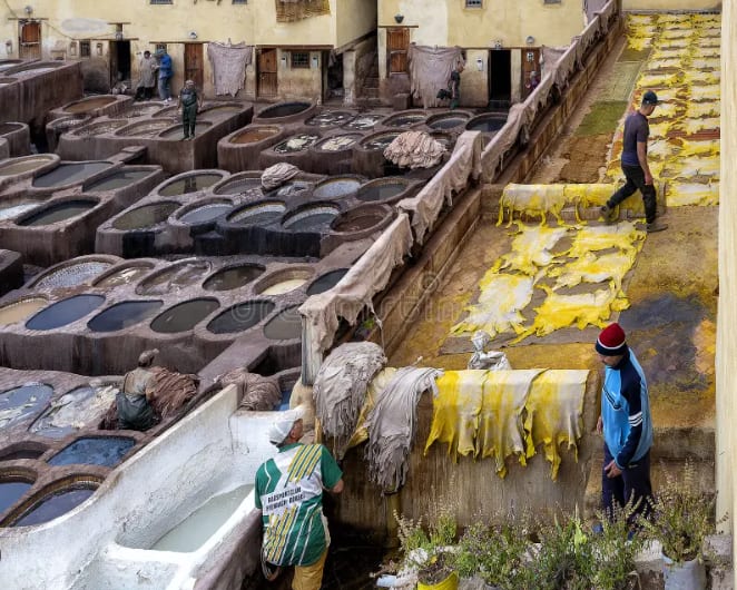 Tannerie Chouara