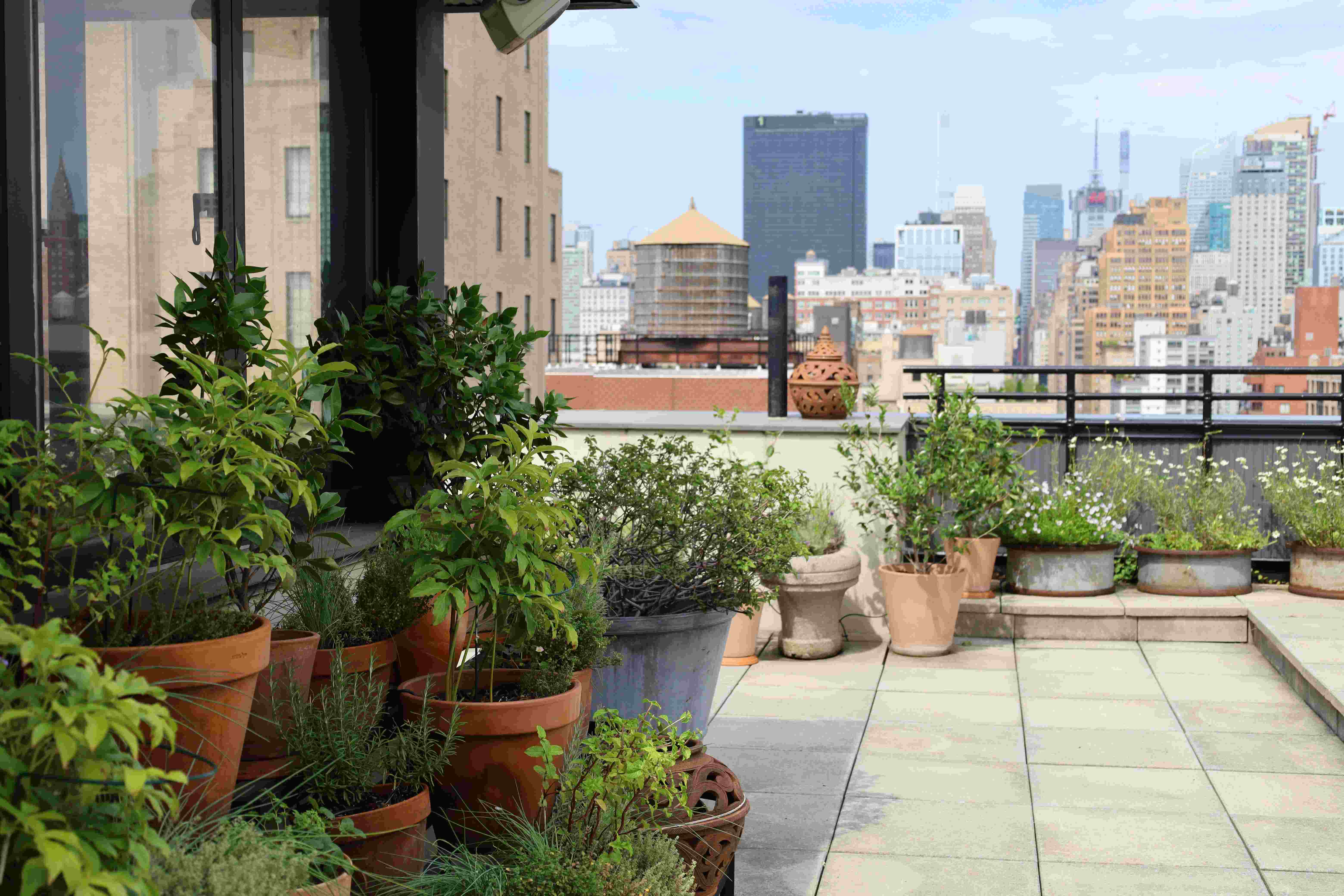 Container Garden