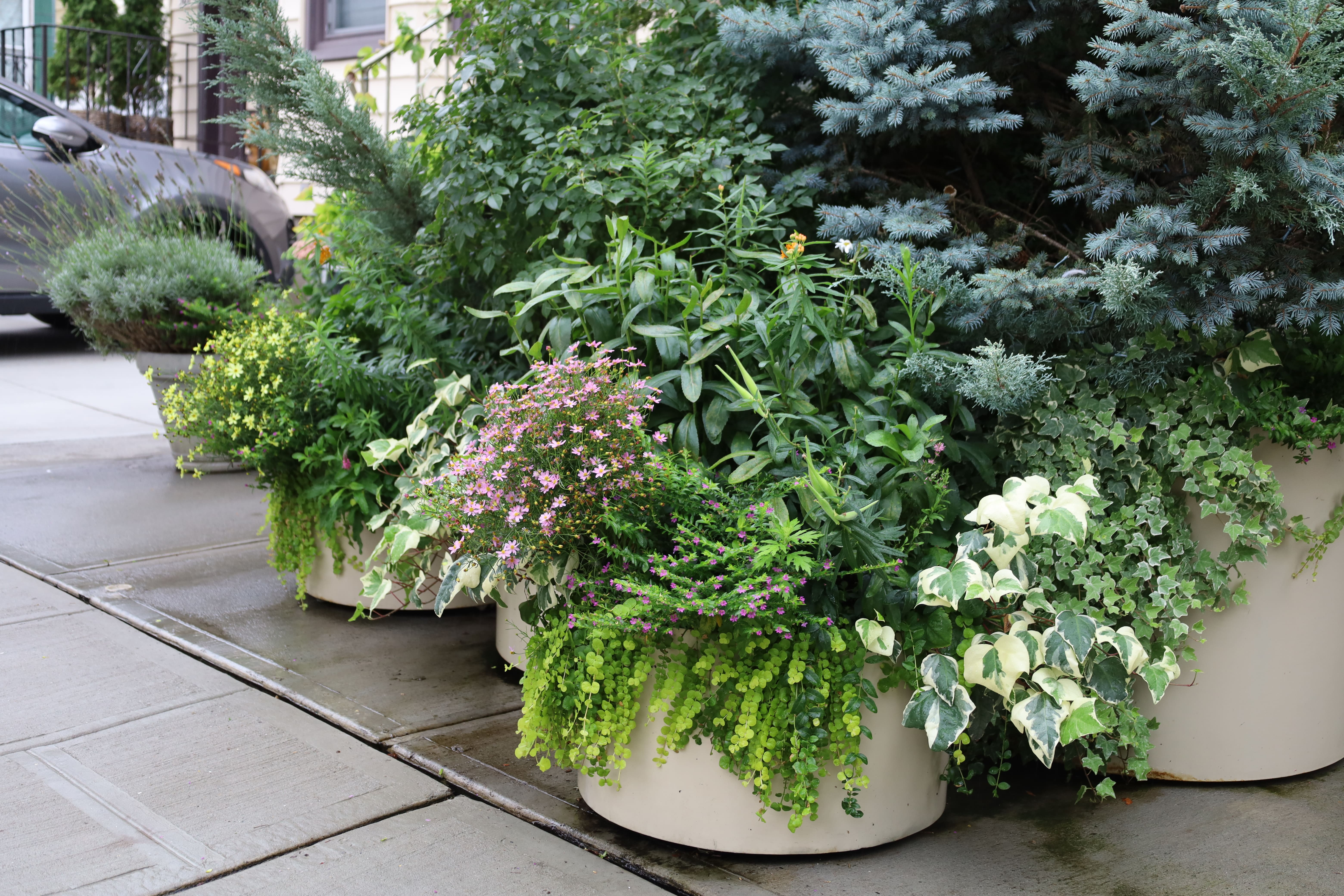 Modern Streetscape Planters