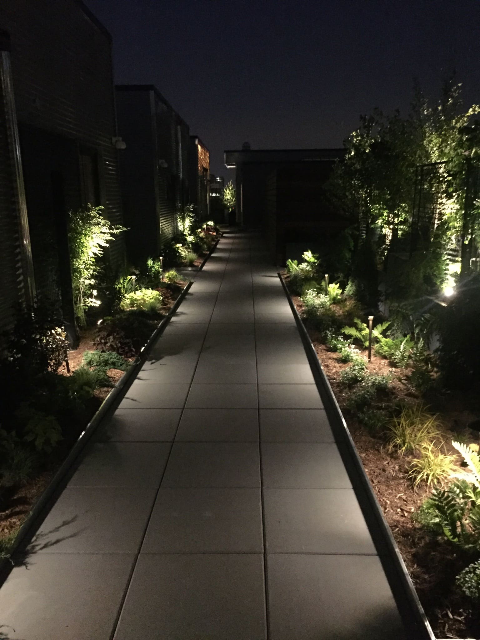 Modern Architectural Walkway