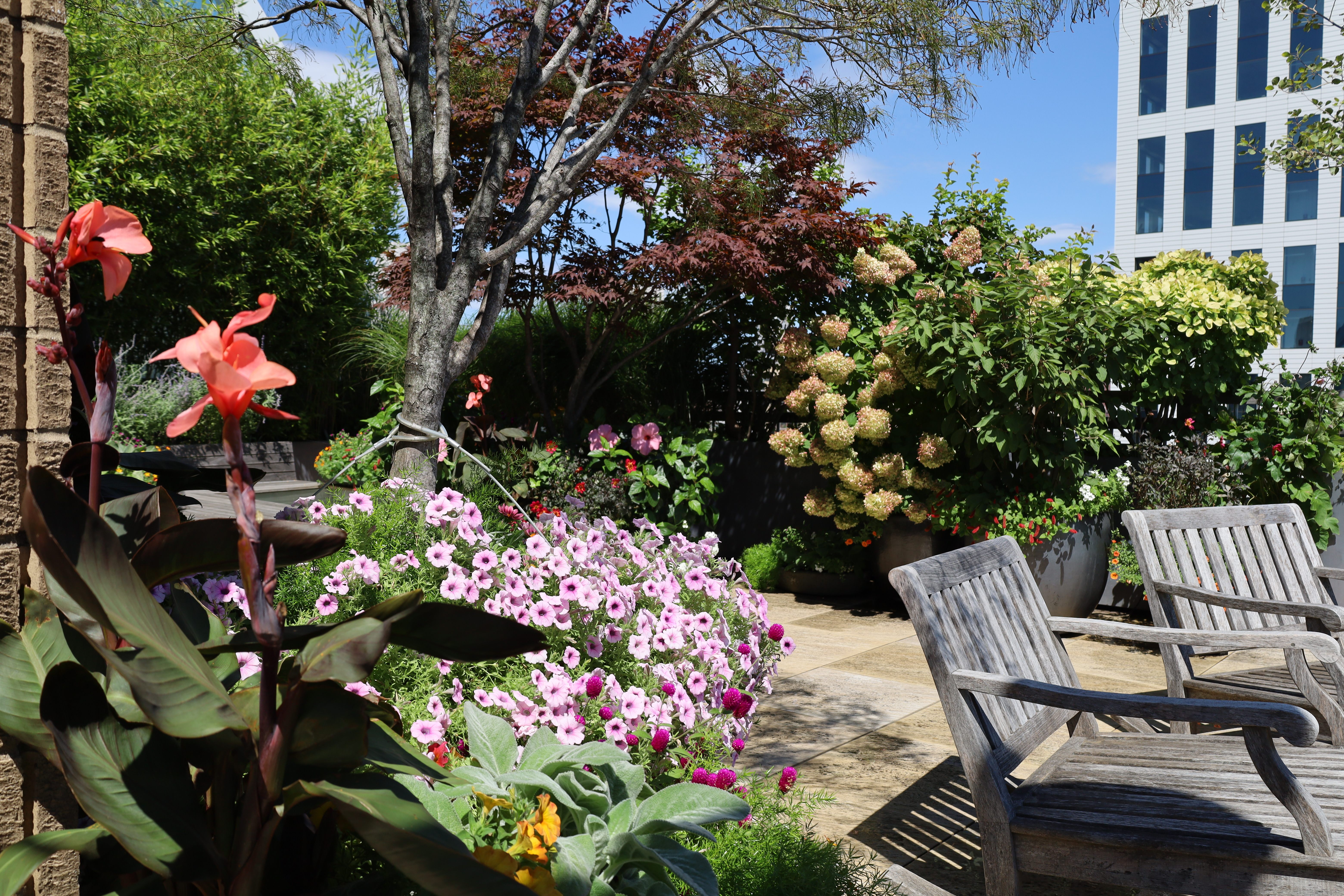 The Sky Terrace