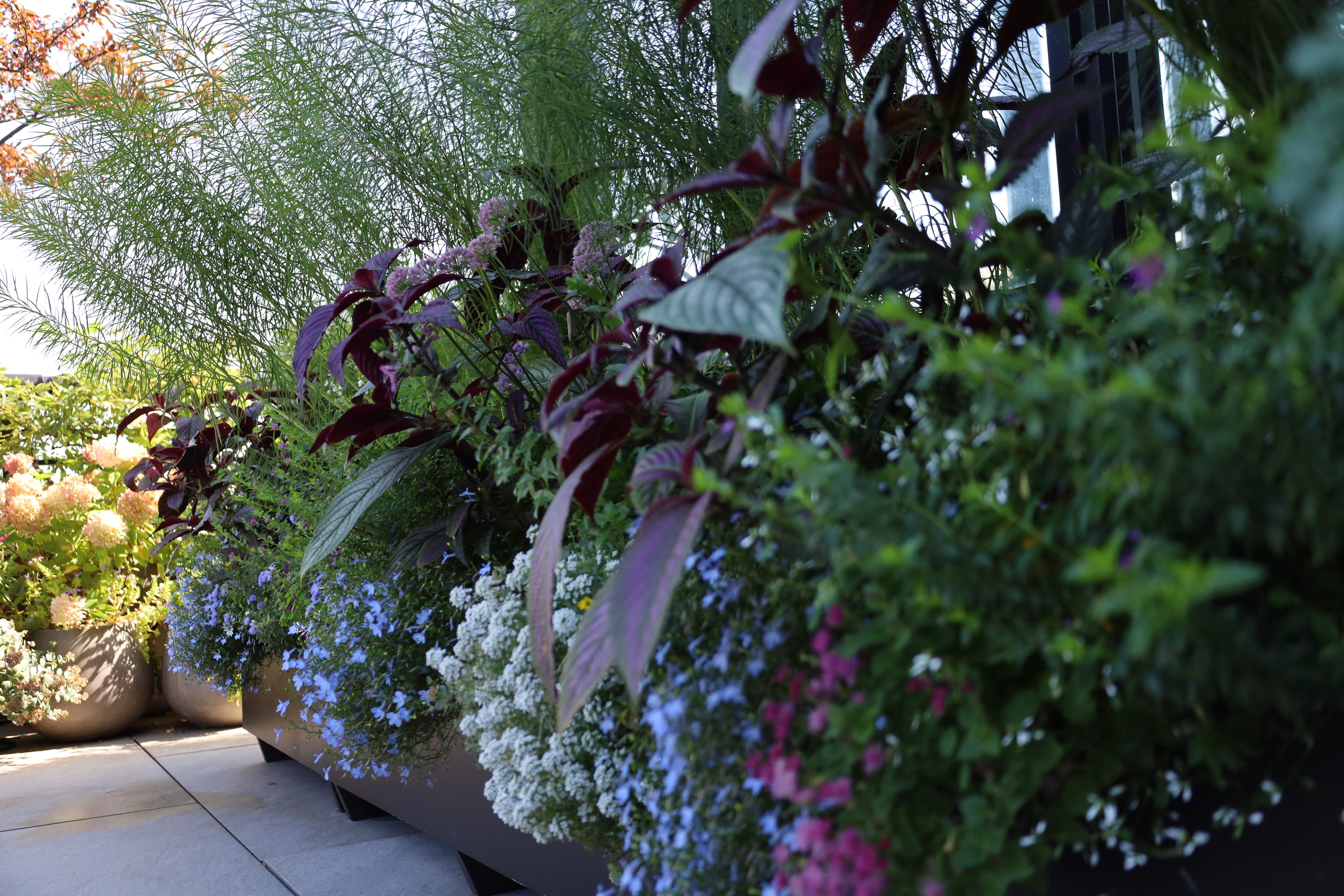 Summer Terrace Details