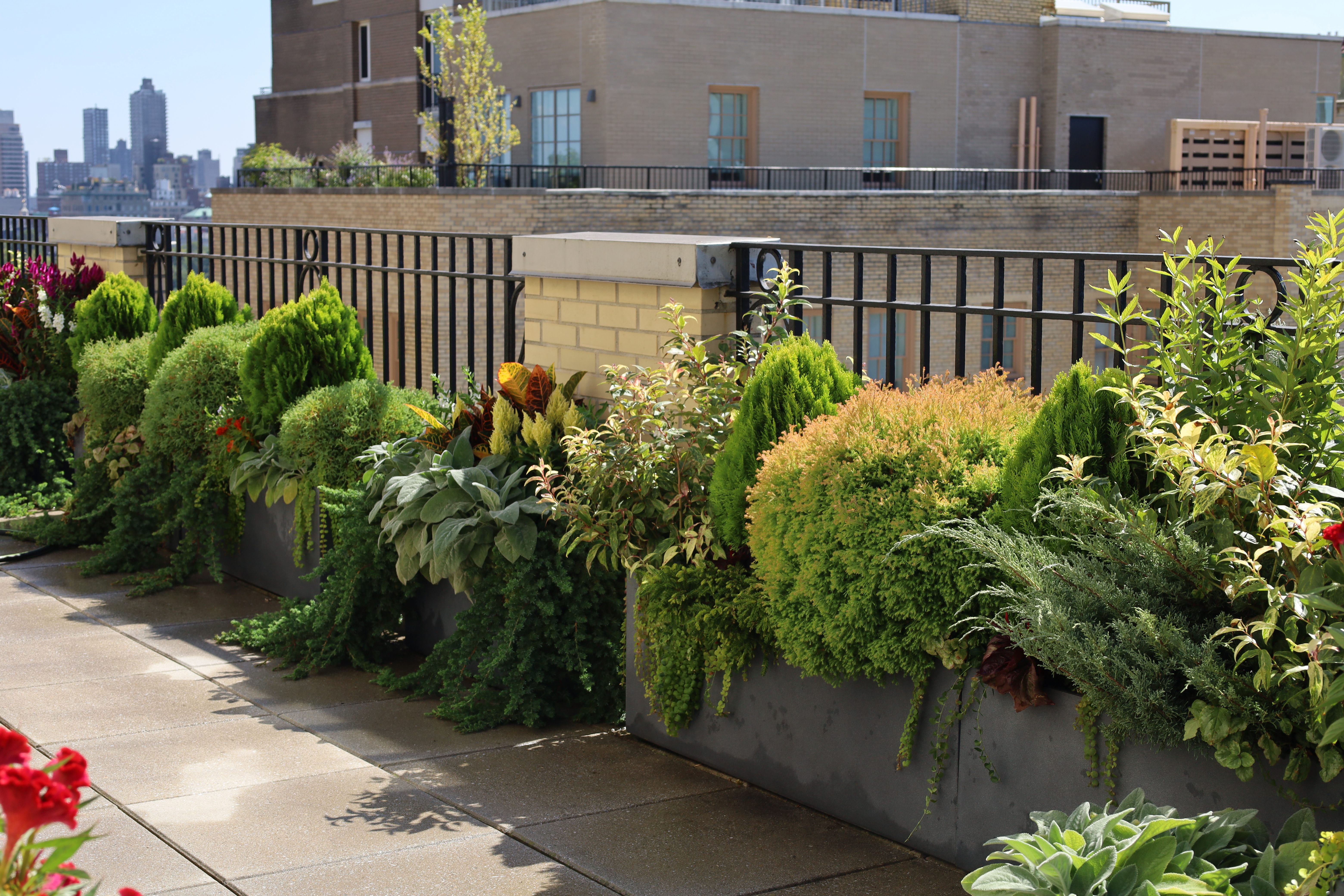 Urban Skyline Terrace