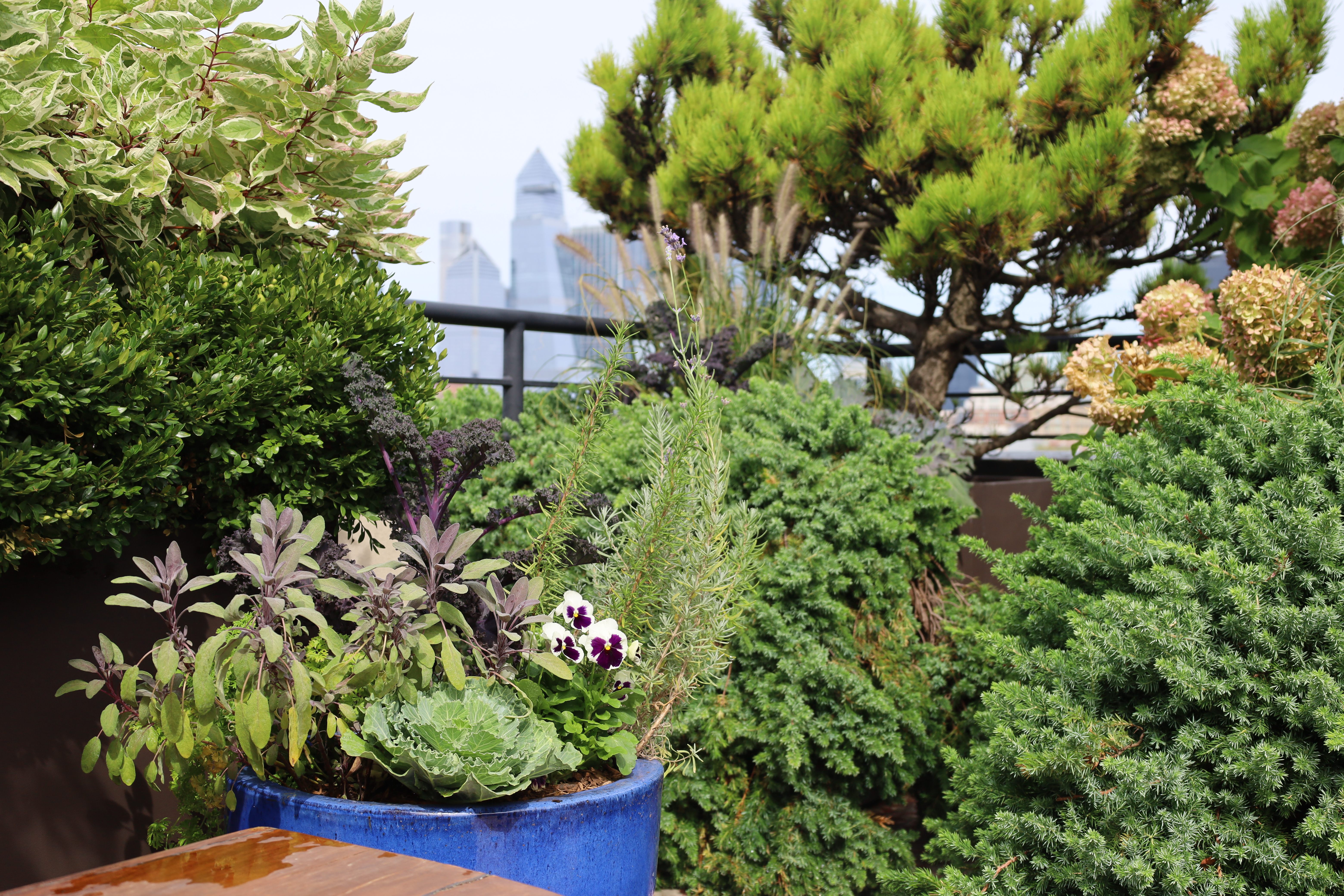 The Patterned Paver Retreat