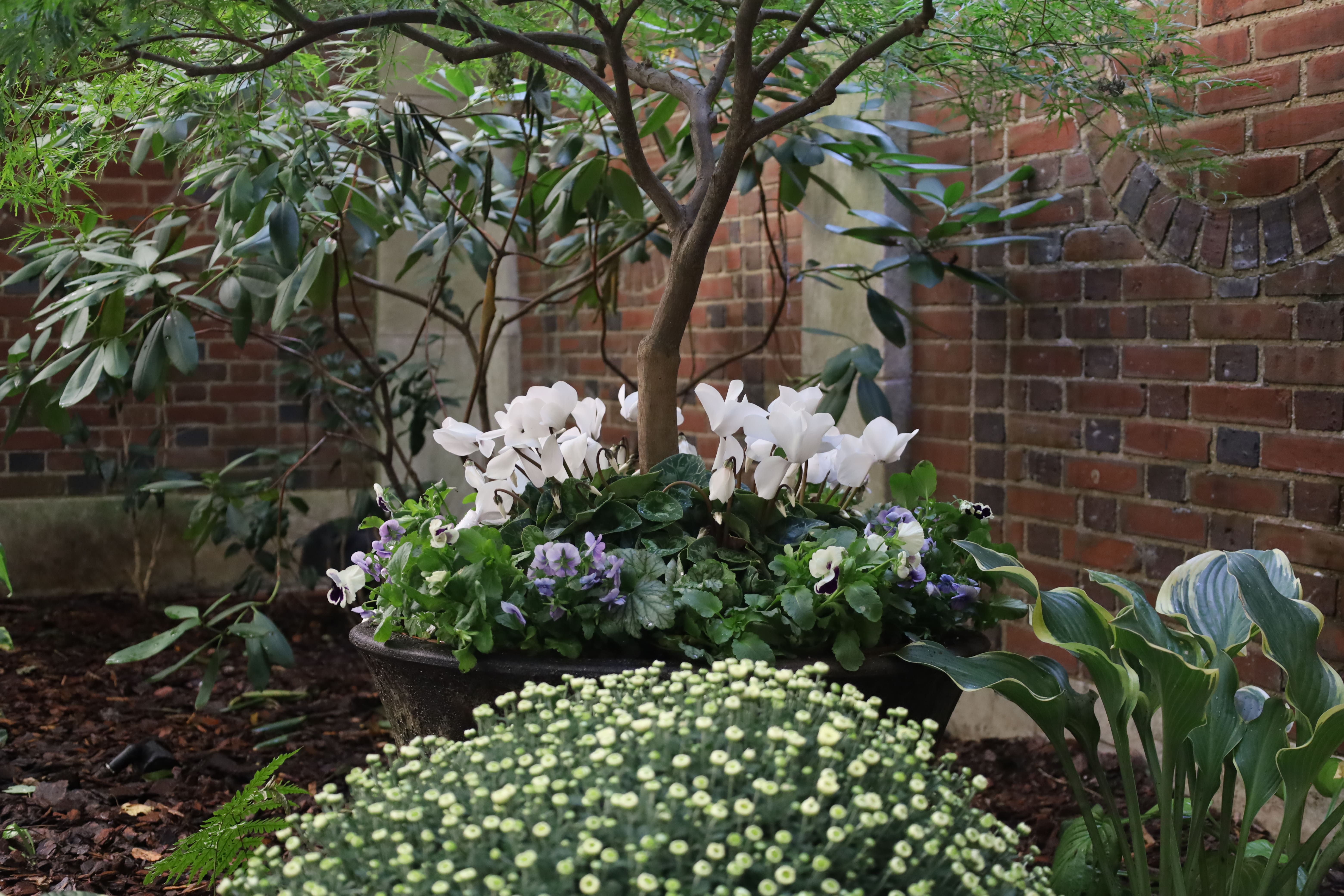 The Heritage Brick Courtyard