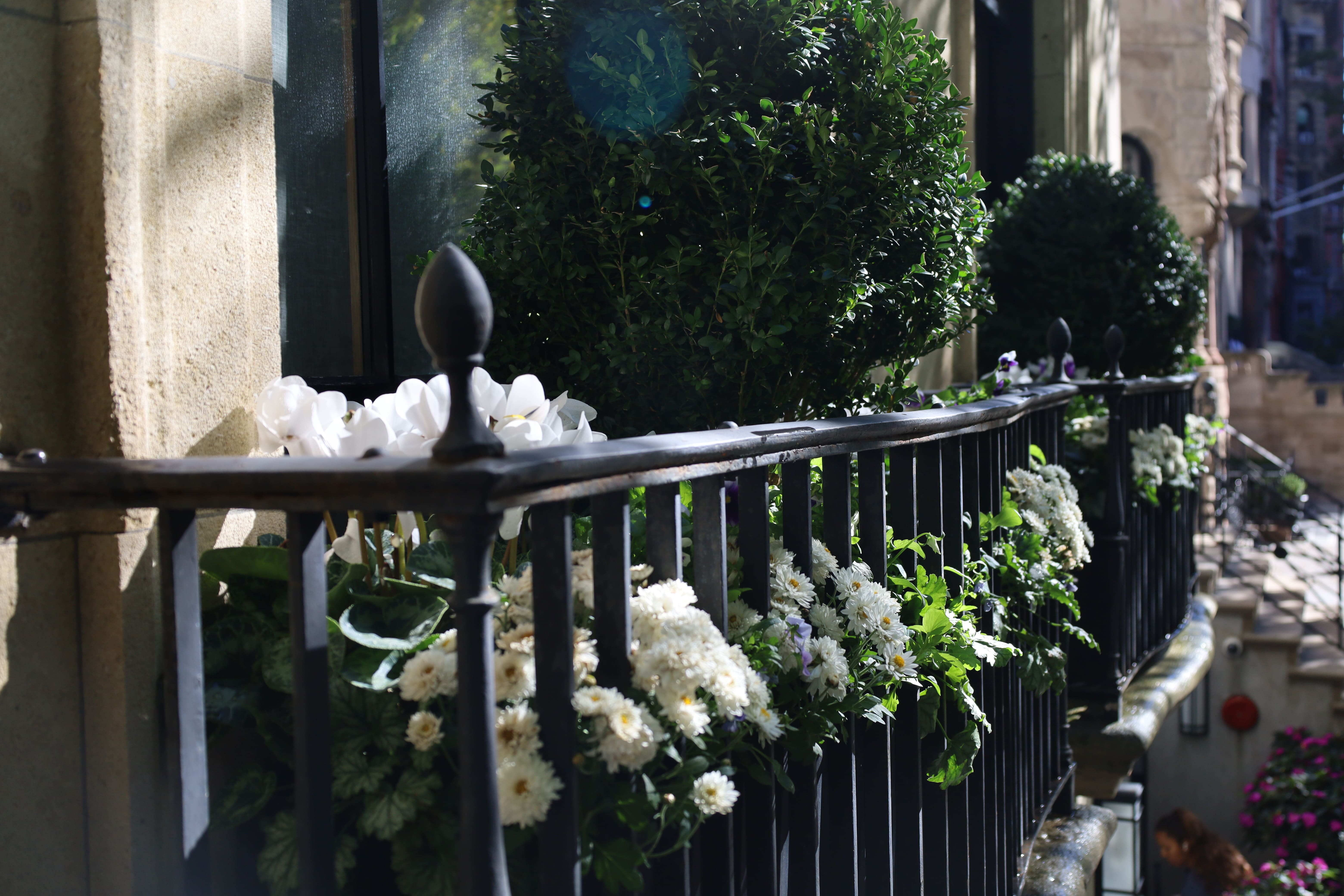 Classic Brownstone Railing