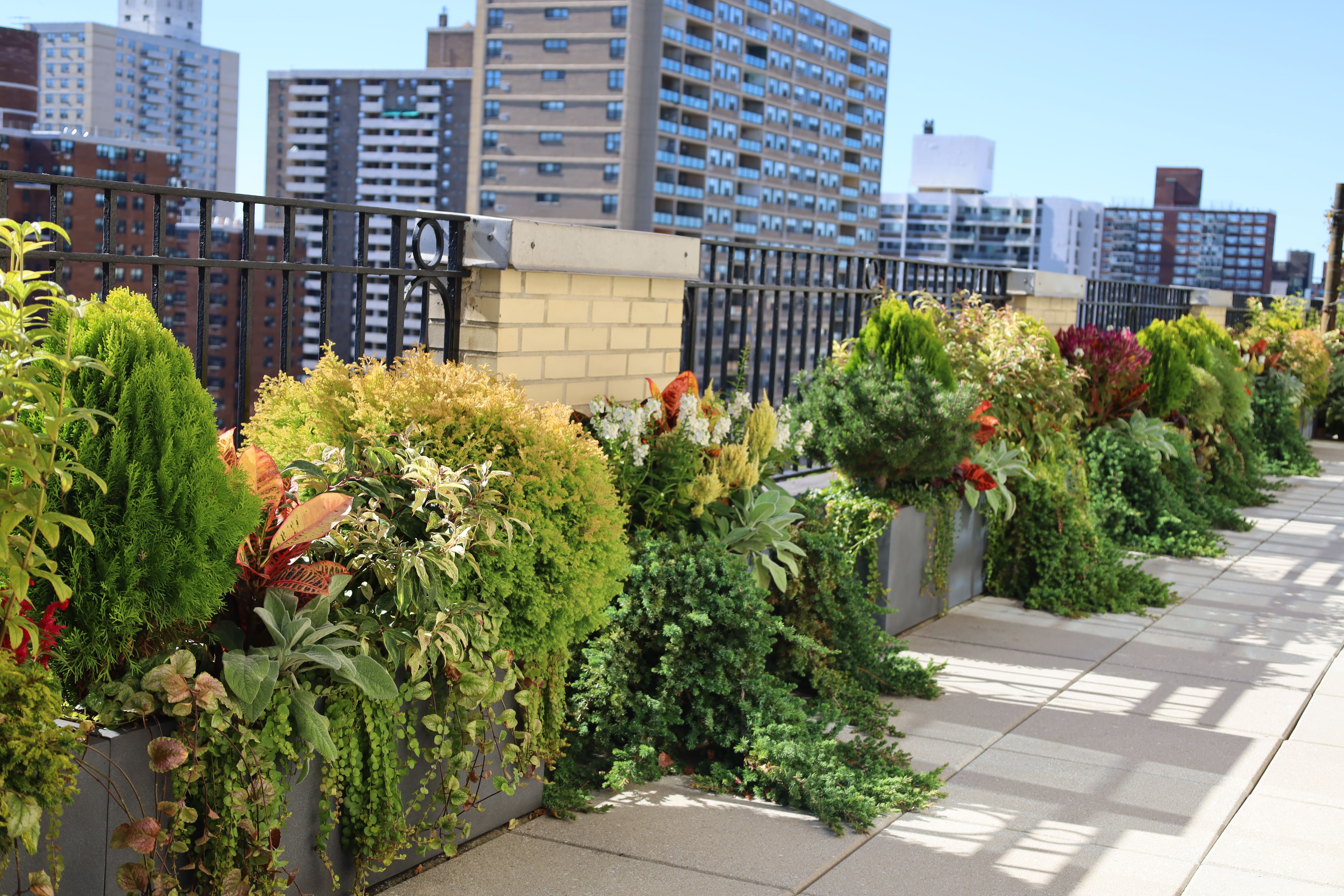 The Modernist Skyline Terrace