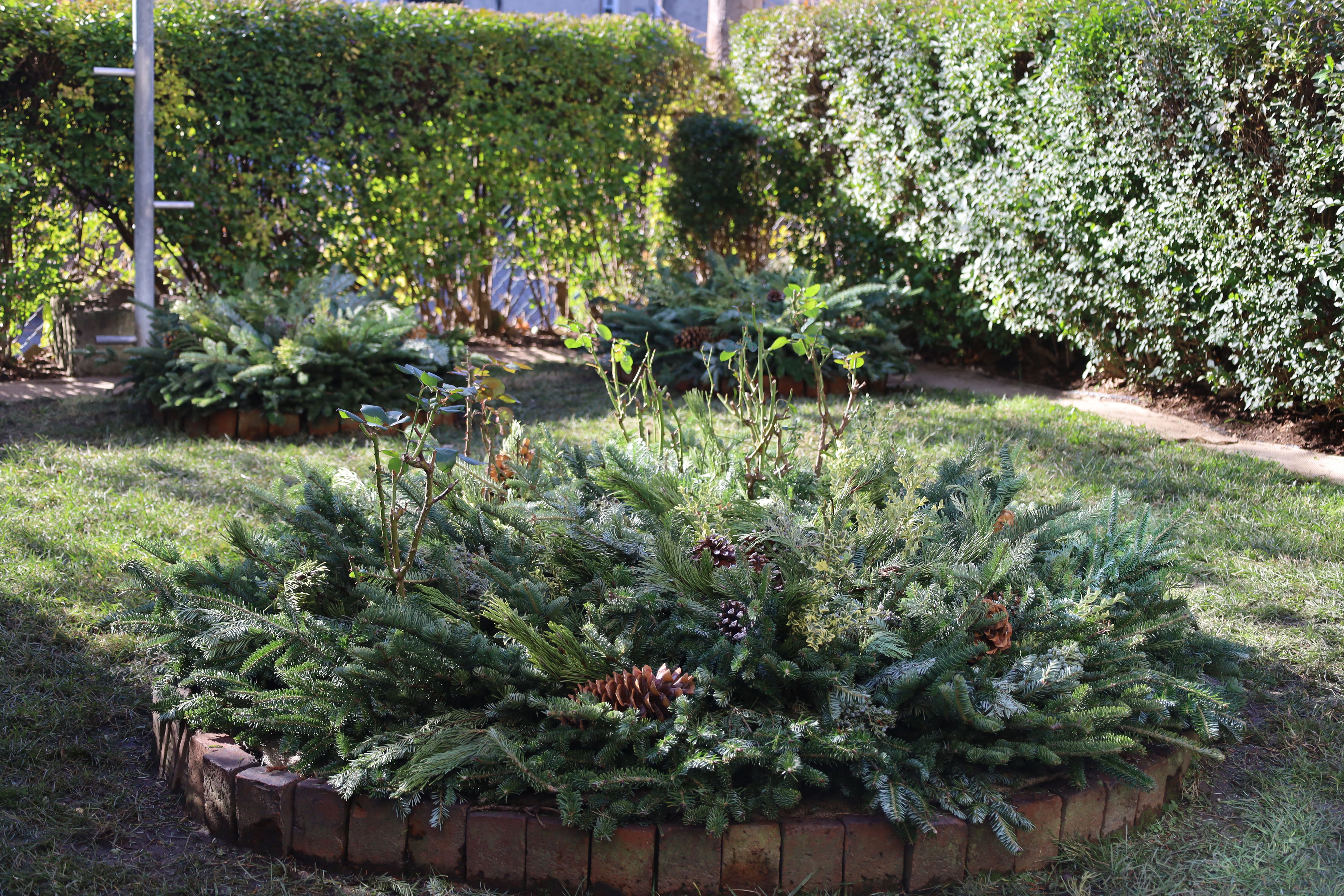 Winter Garden Restoration