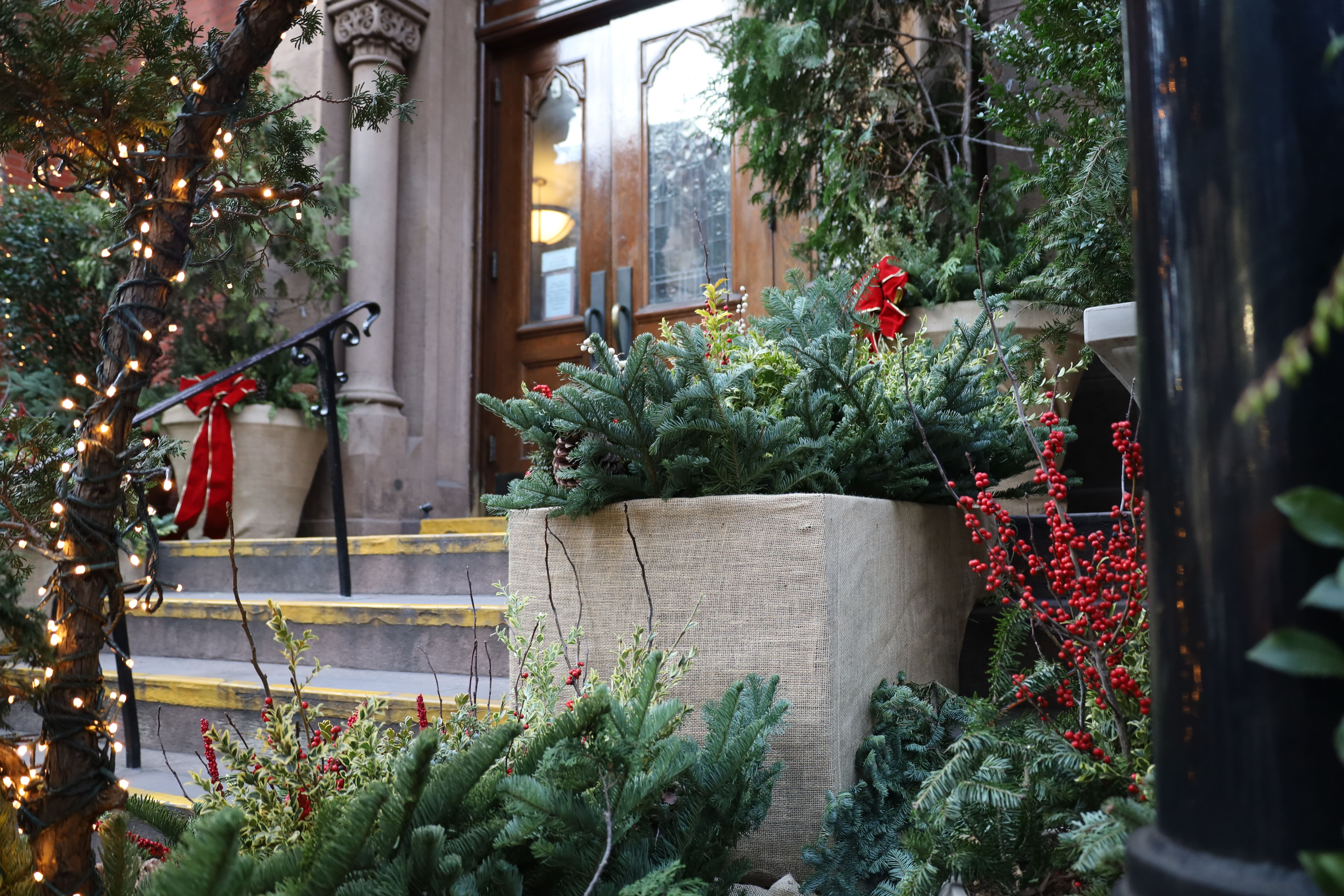Holiday Installation