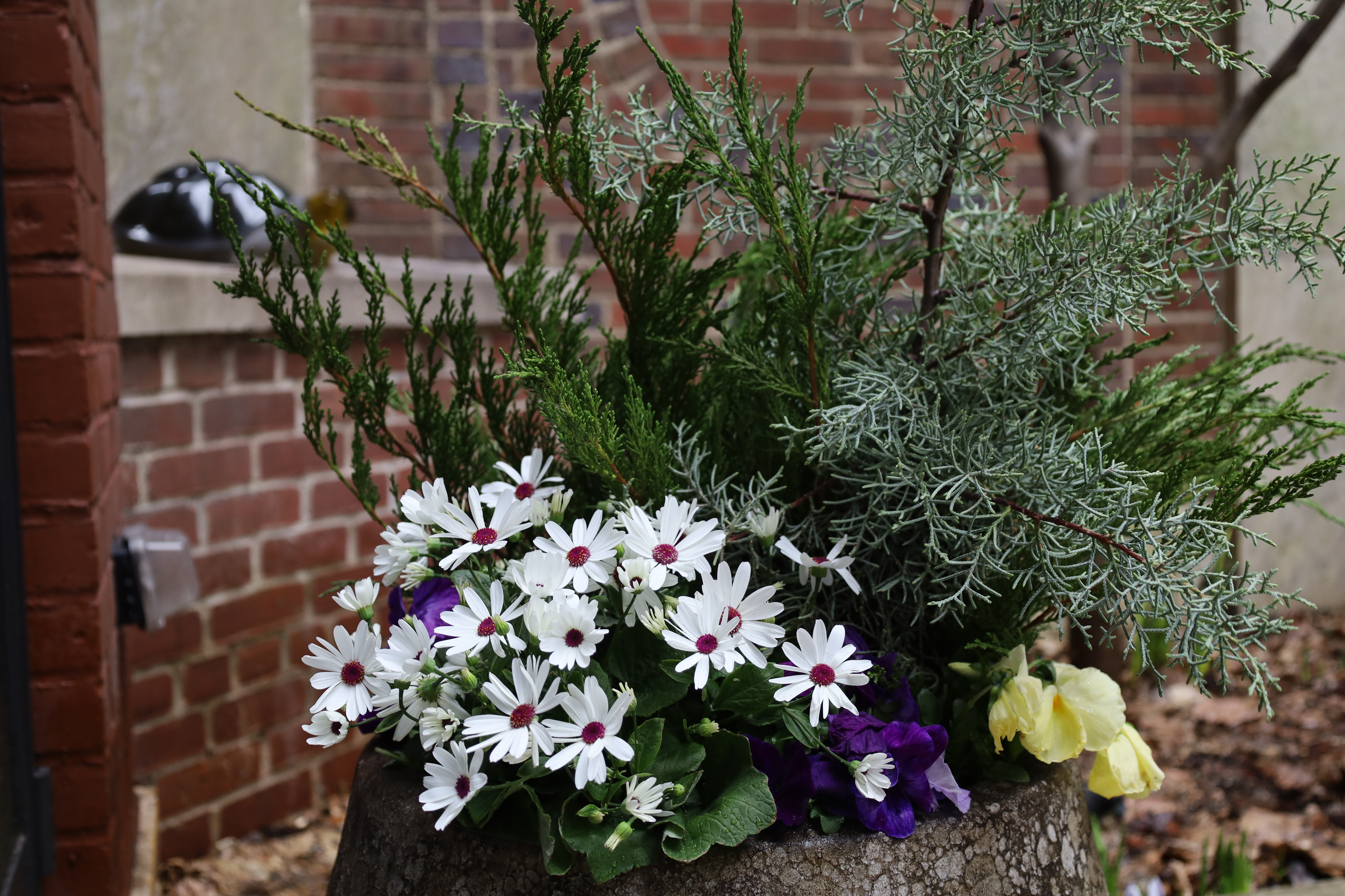 Brick Garden Spring Awakening