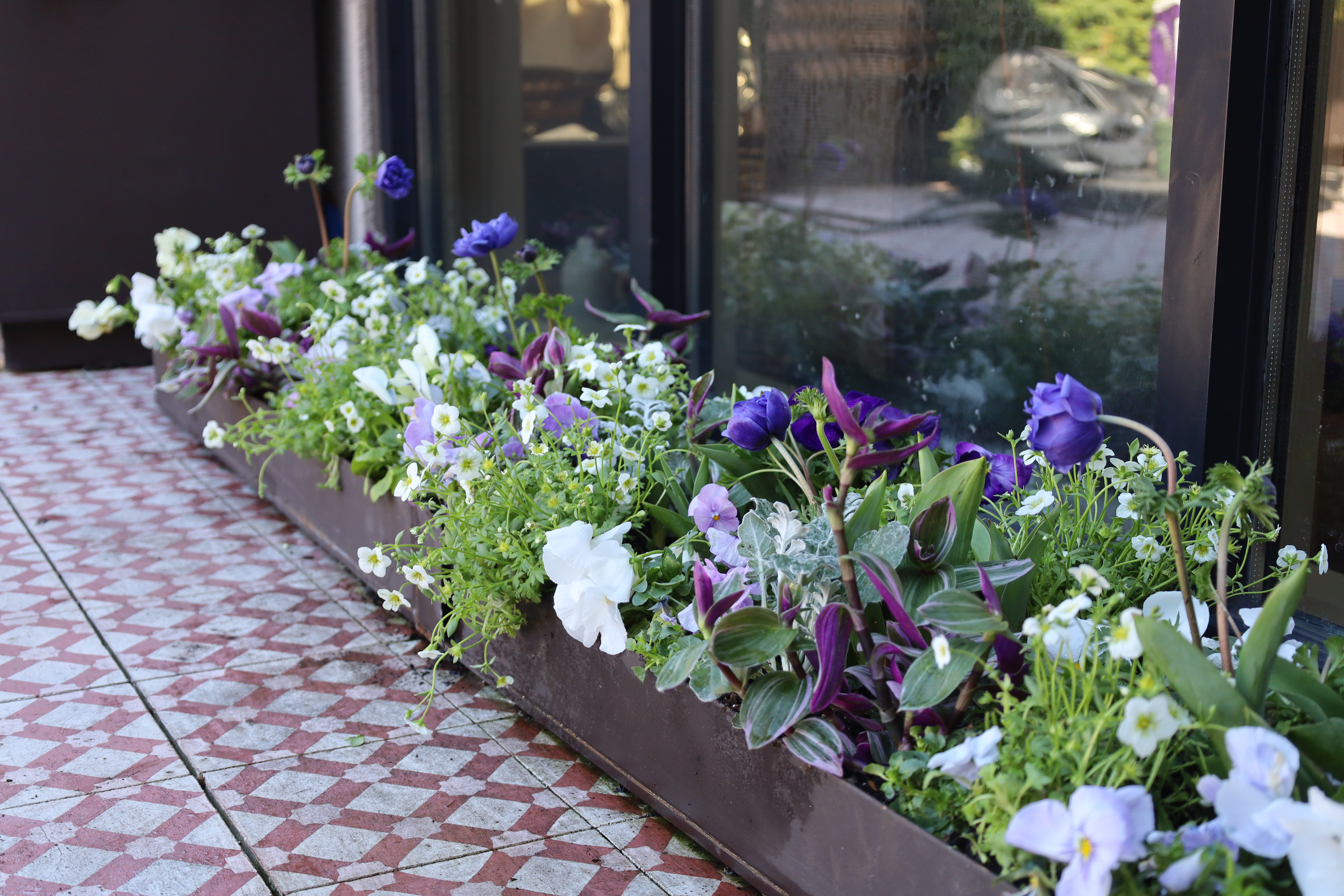 Terrace Spring Refresh