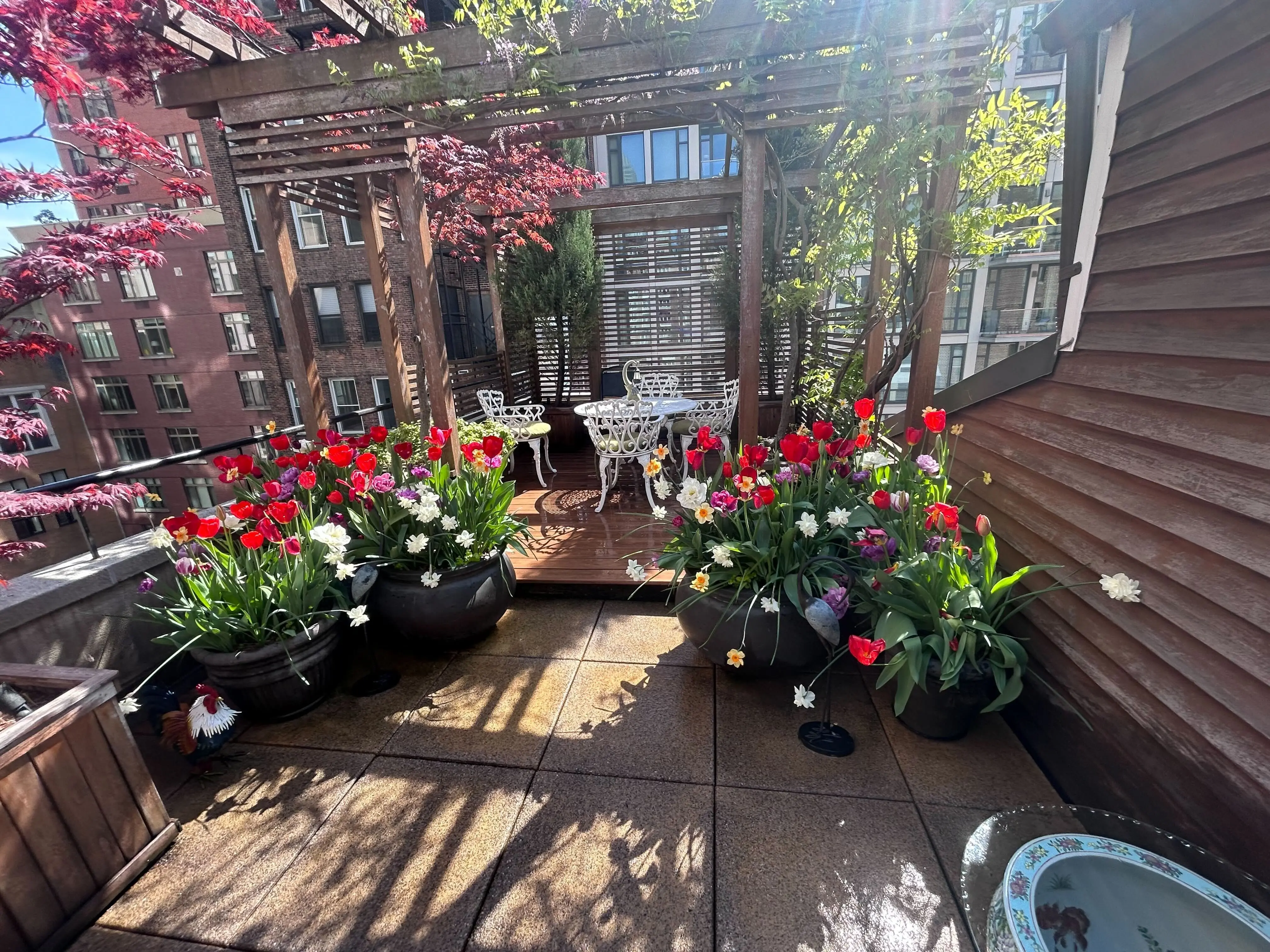 Springtime Bloom