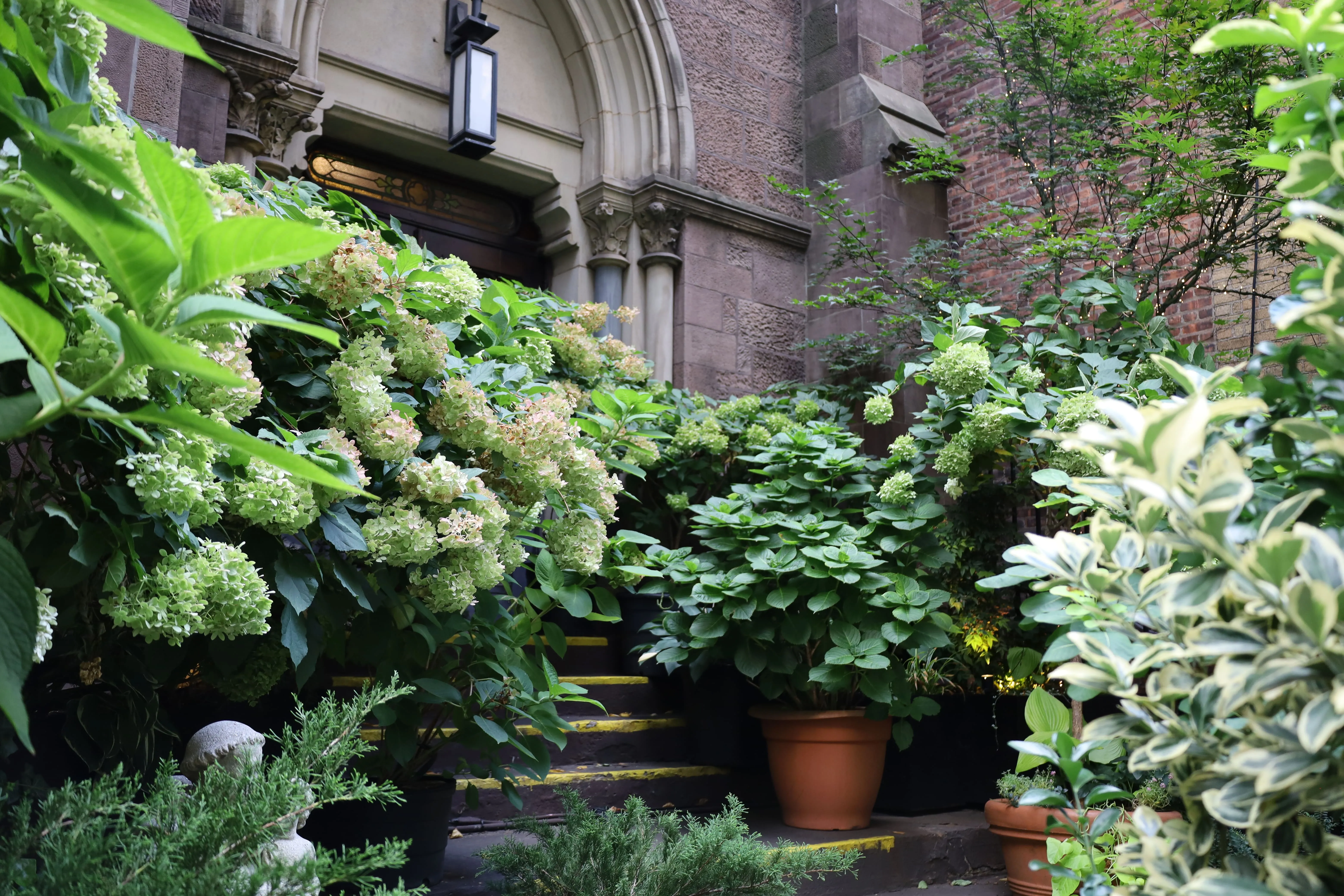 Summer Foliage