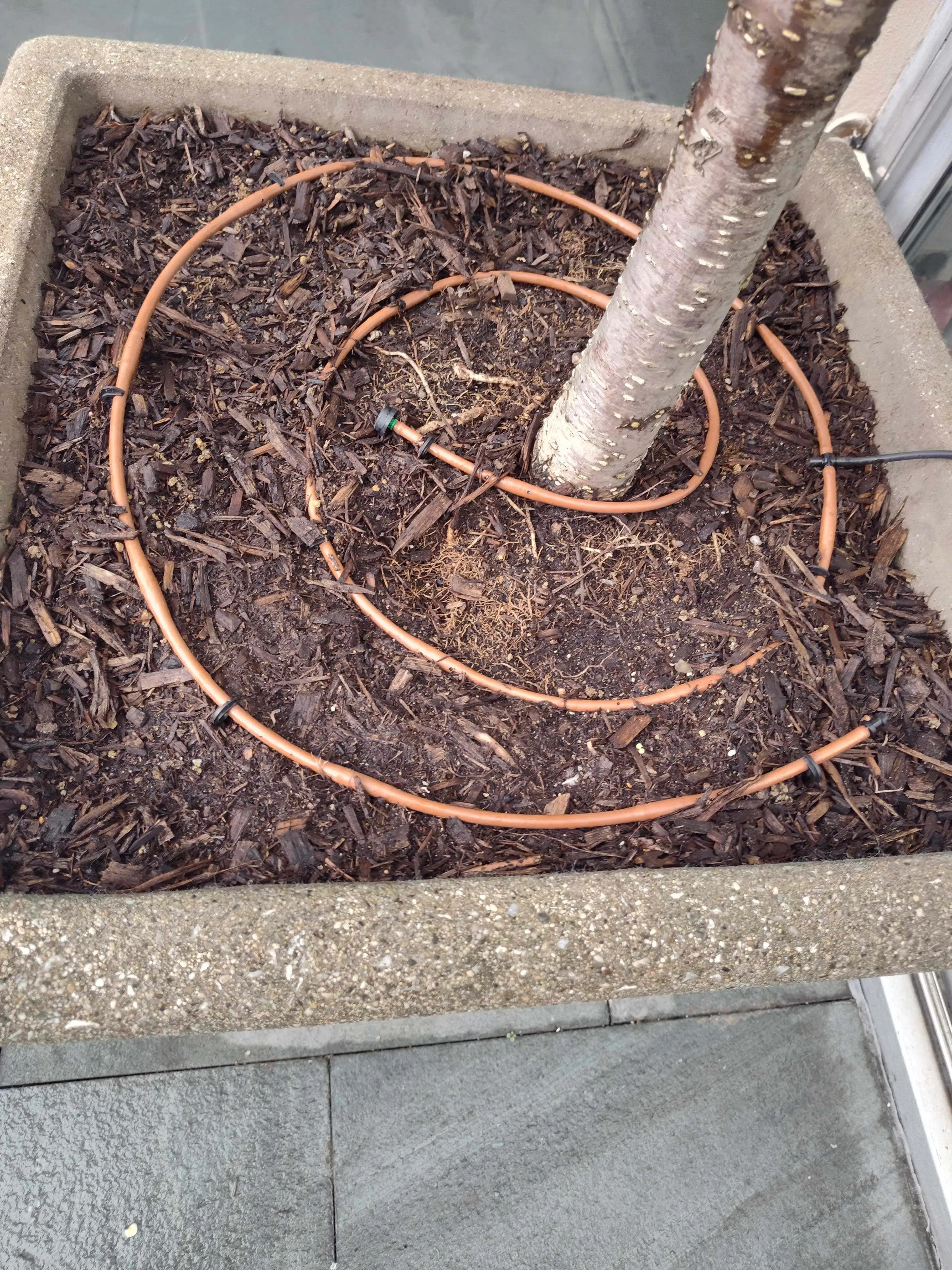 Irrigation System Install