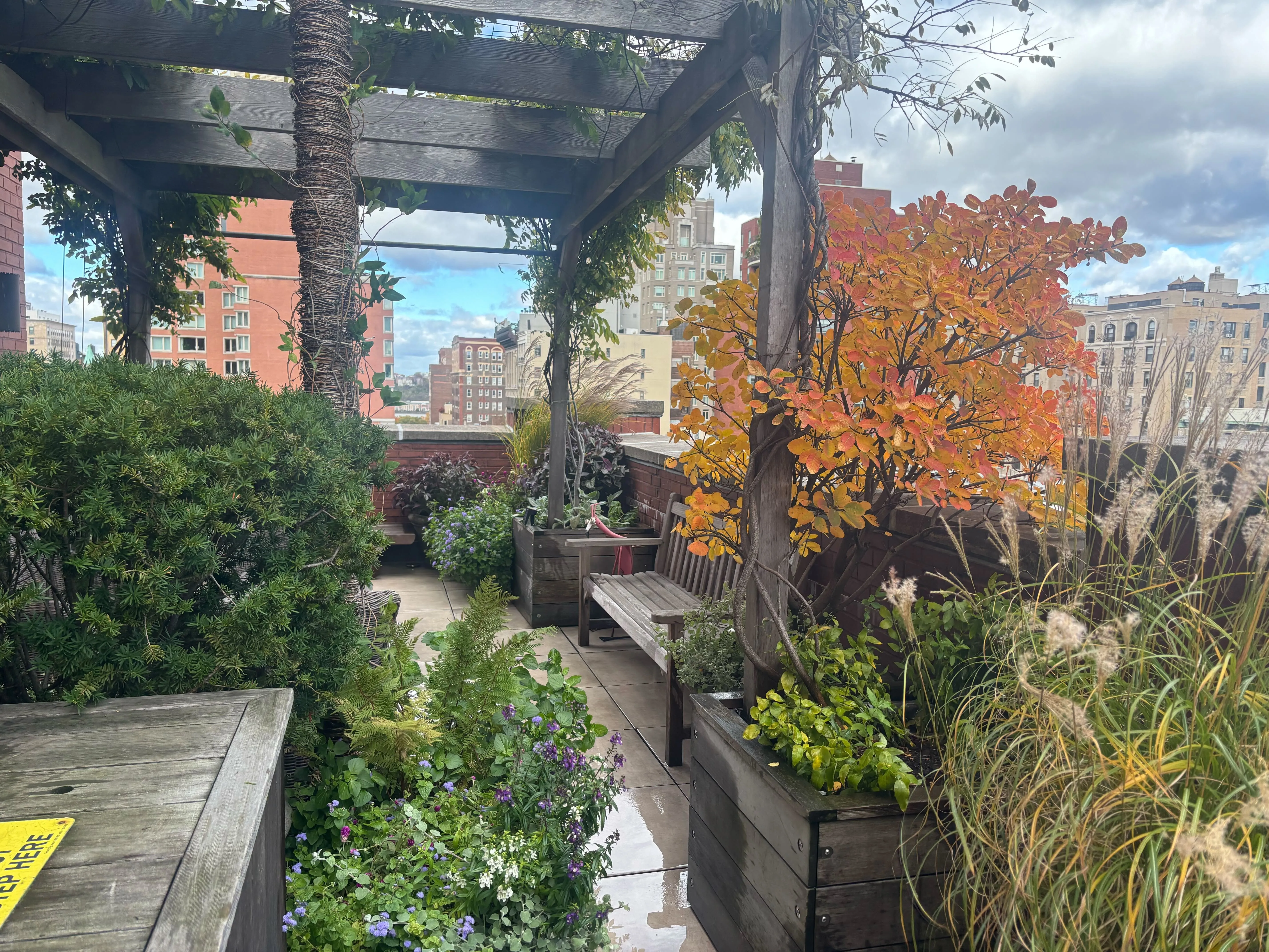 Autumn Foliage