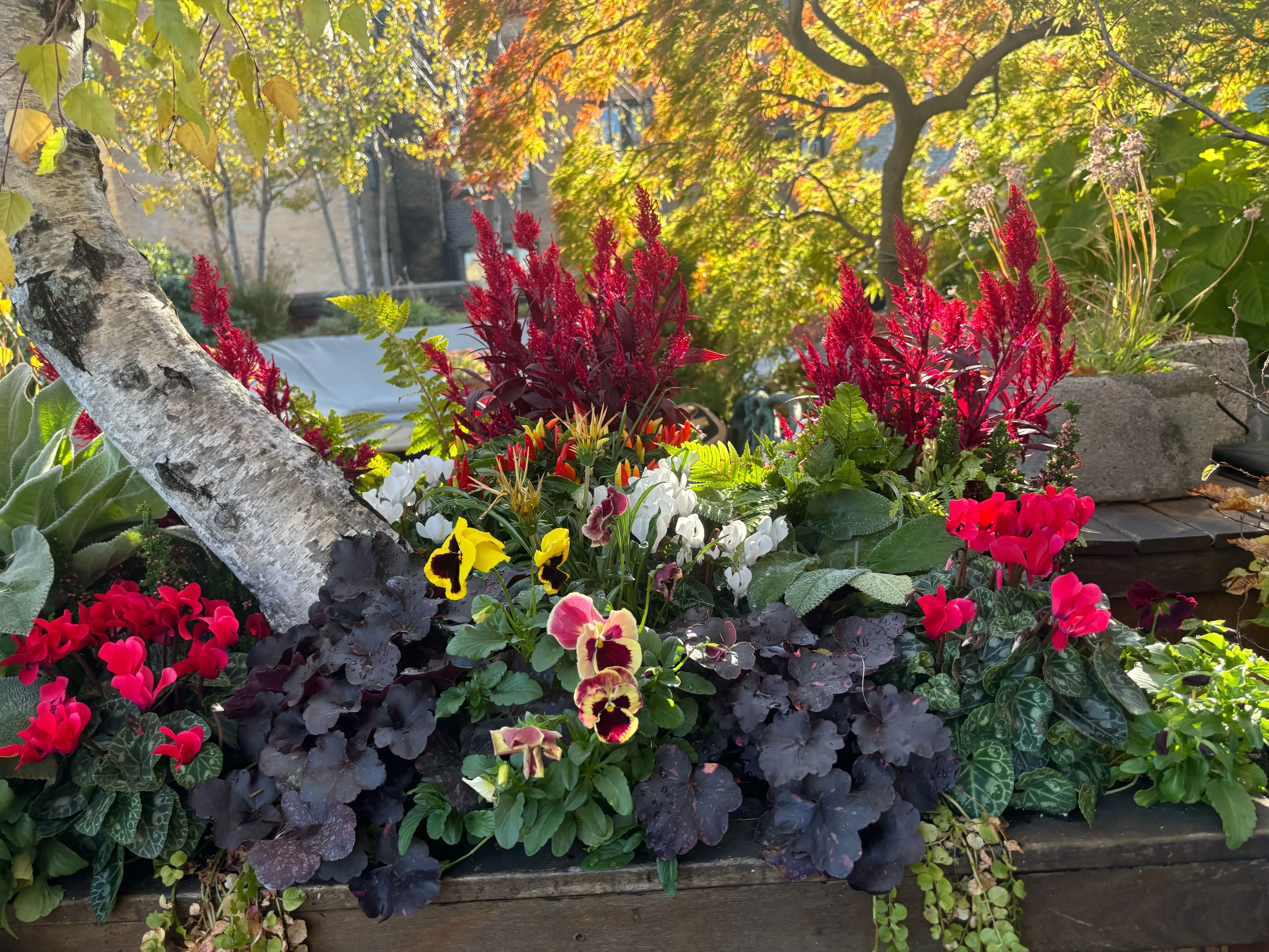 Autumn Planting