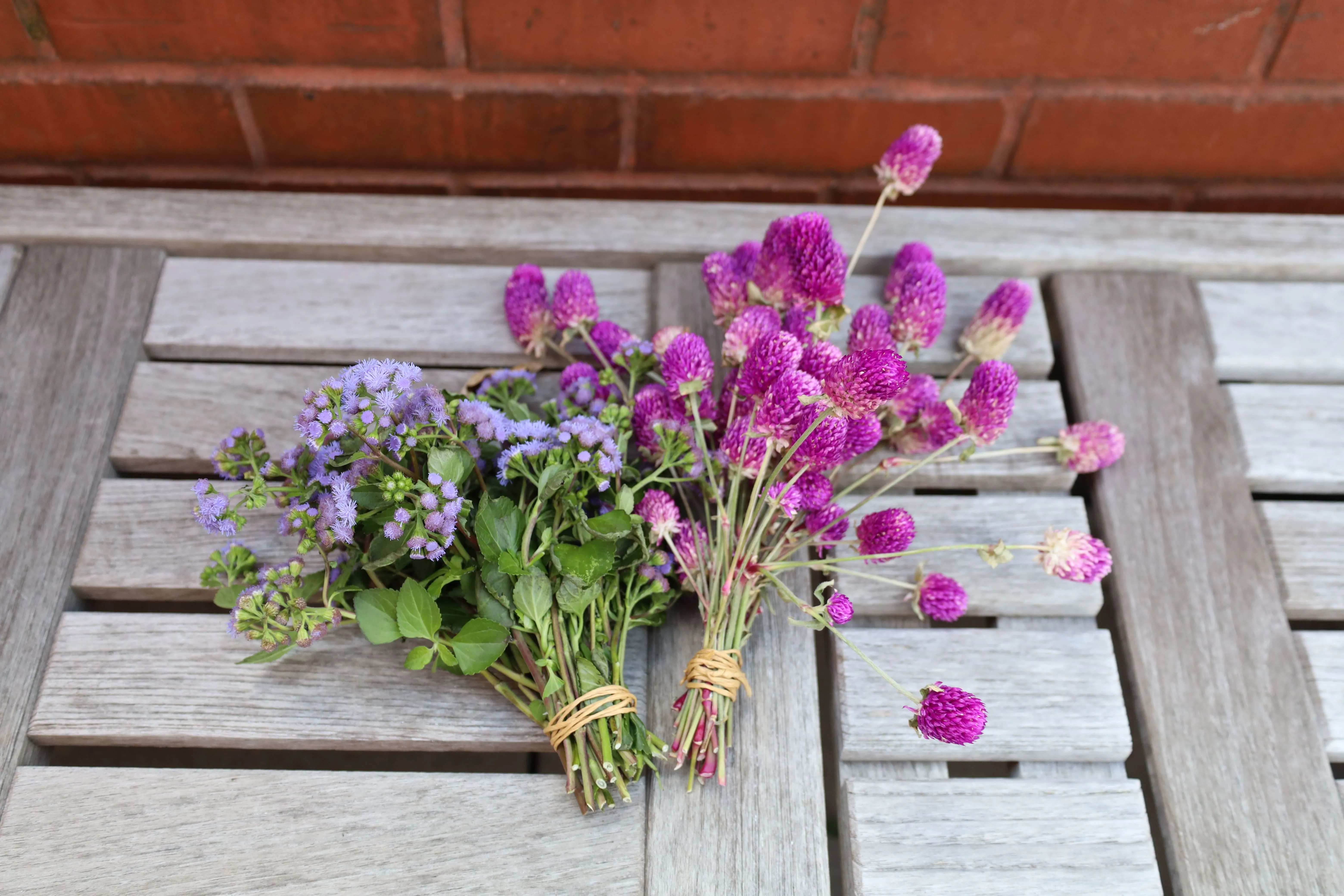 Lifesource Irrigation Newsletter: Spring Edition