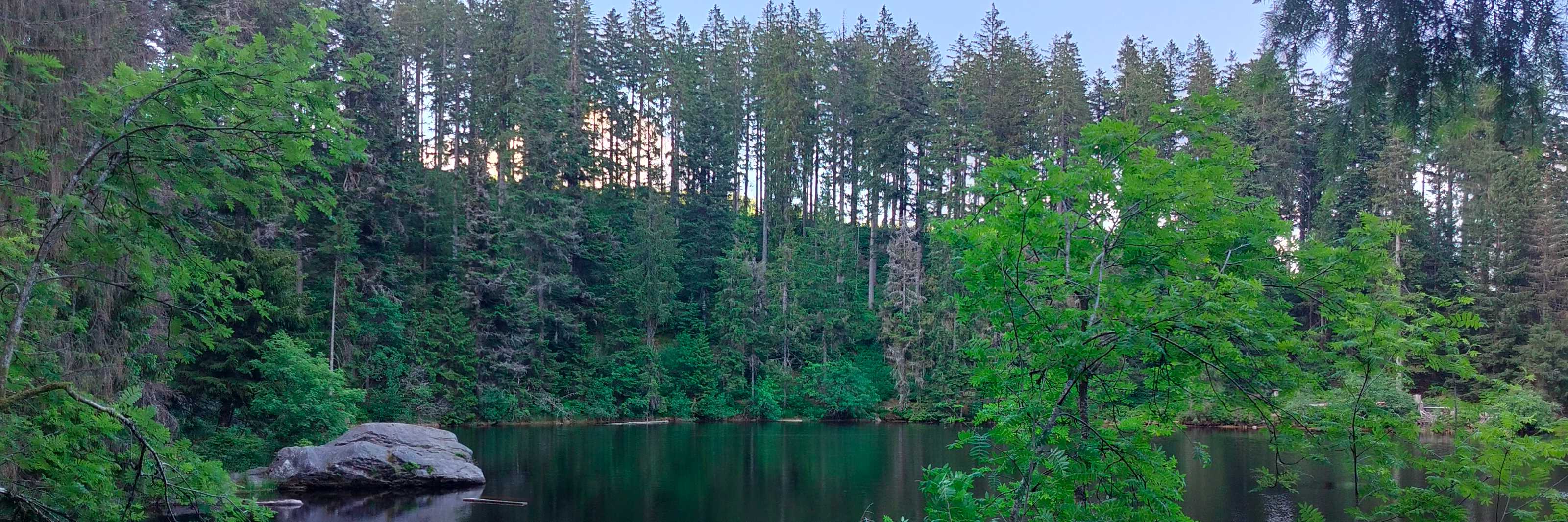 Anke