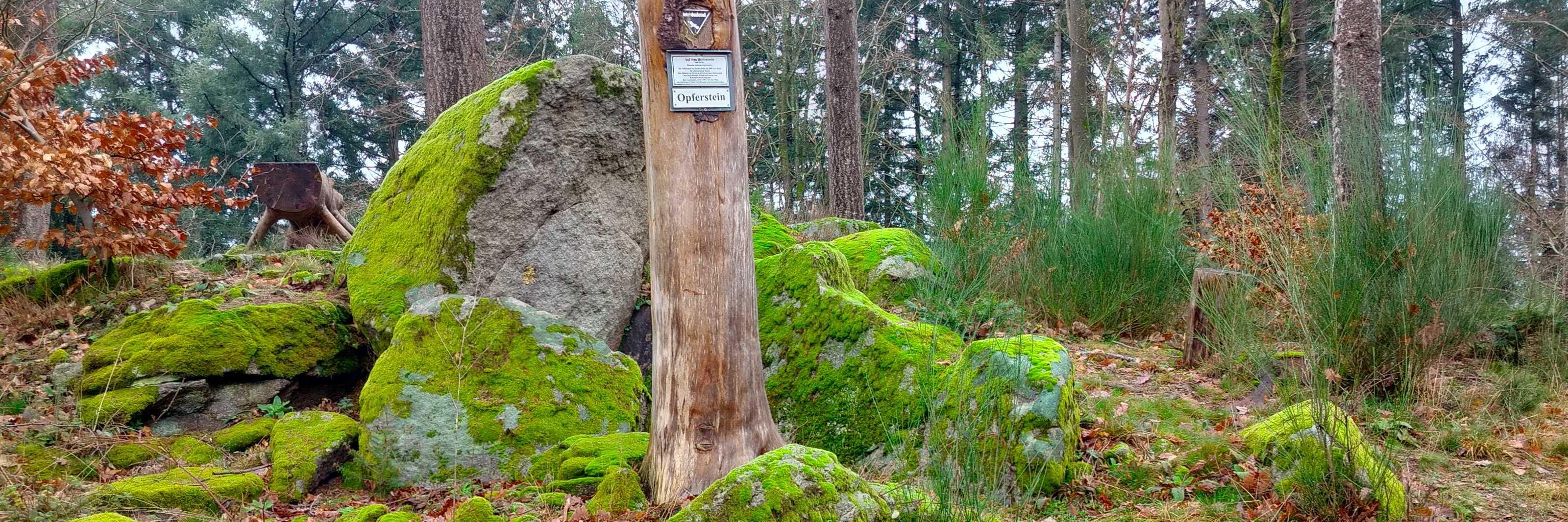 Heidenstein Gengenbach