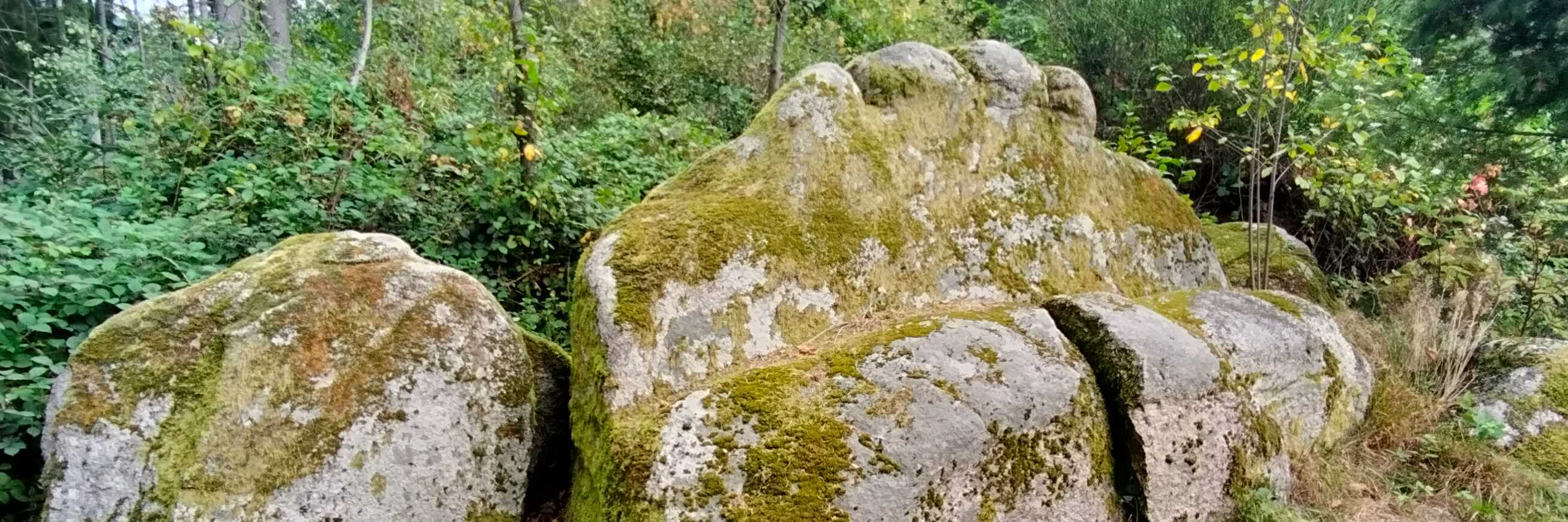 Heidenstein Gengenbach