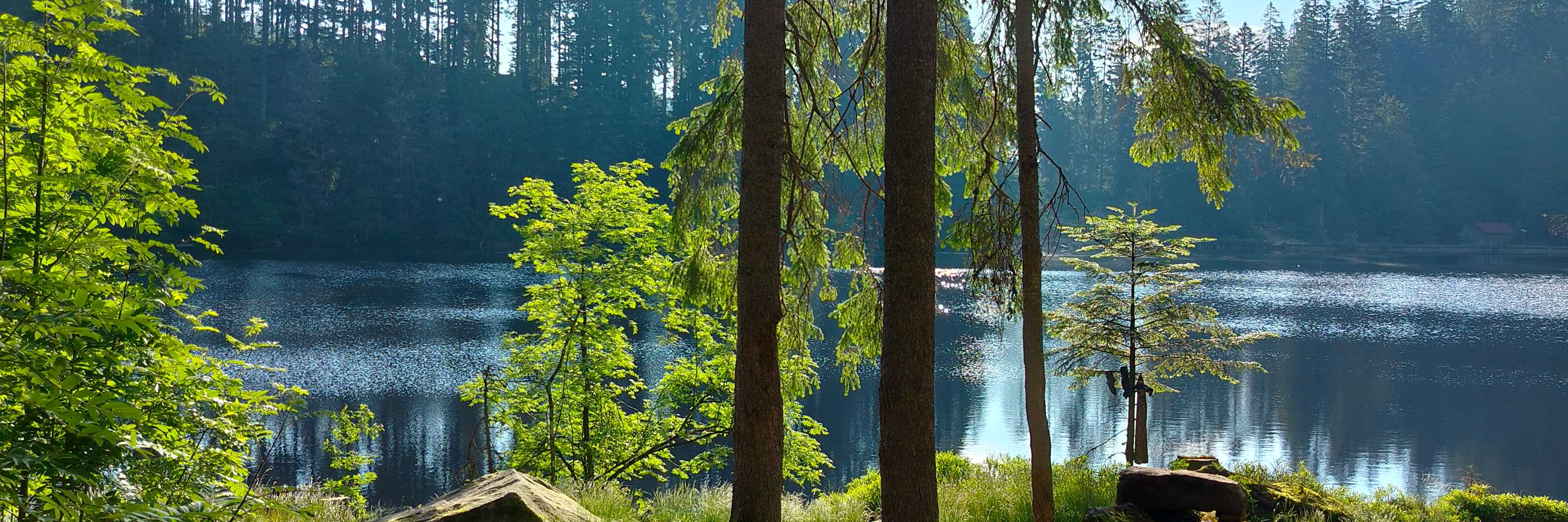 Glaswaldsee