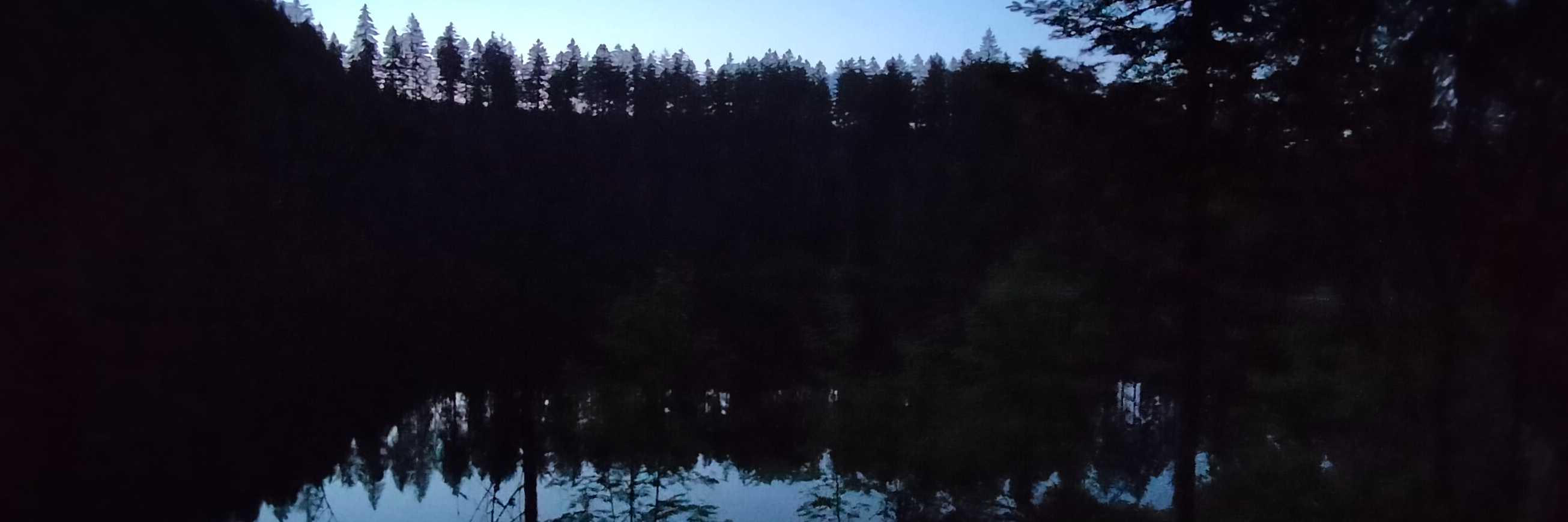 Glaswaldsee