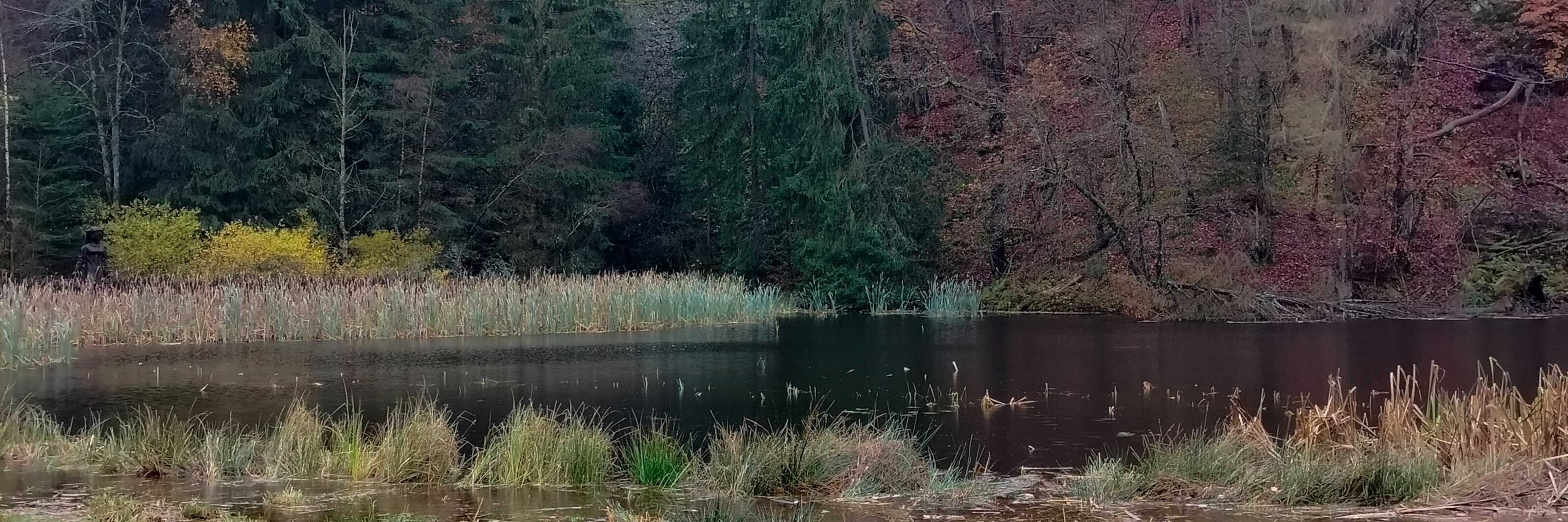 Frau-Holle-Teich