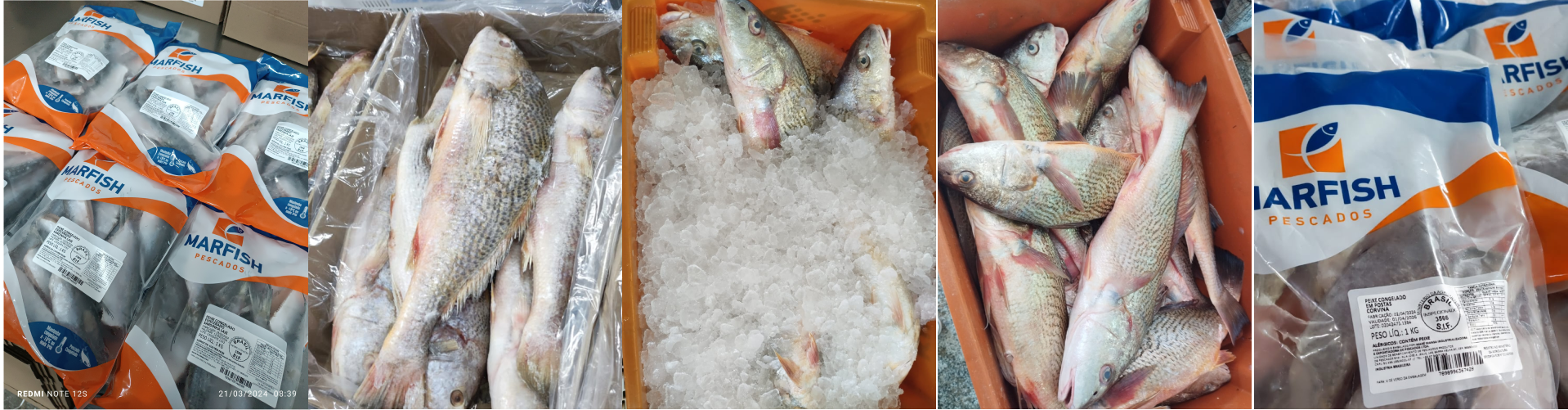 Imagem representativa