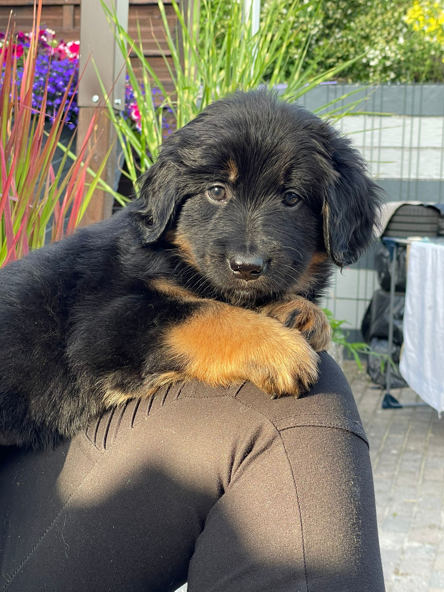 Lila Woche 6