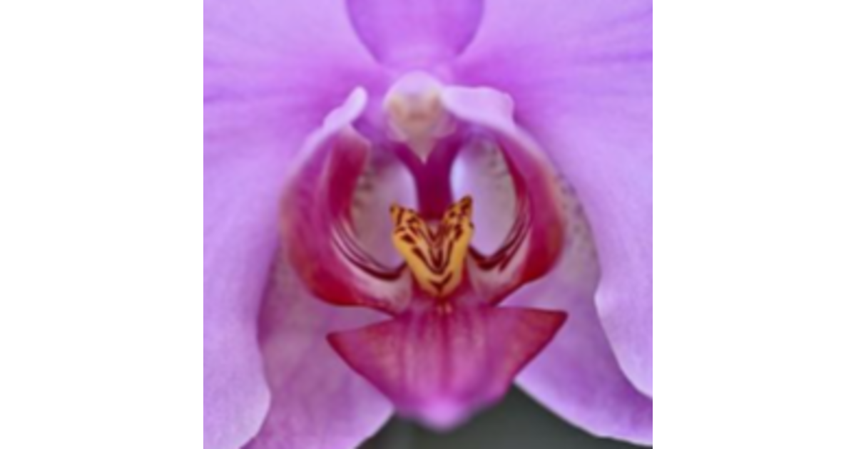 澤田直樹 フリーランスDB