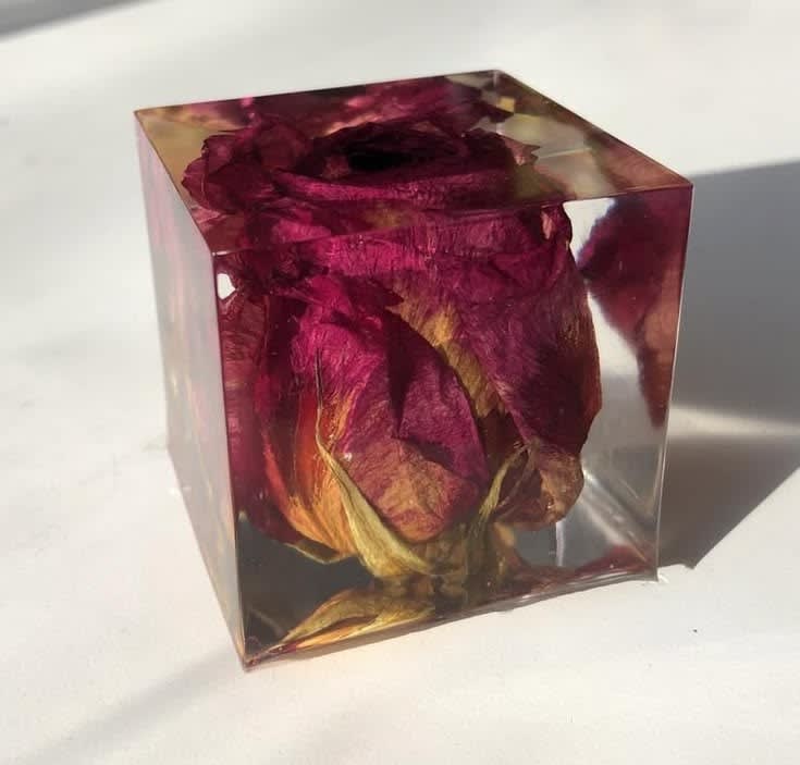 3D Resin Preserved Single Red Rose Cube Keepsake — jewellery by Giftistan