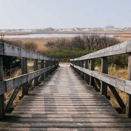 대출 한도와 금리 이미지