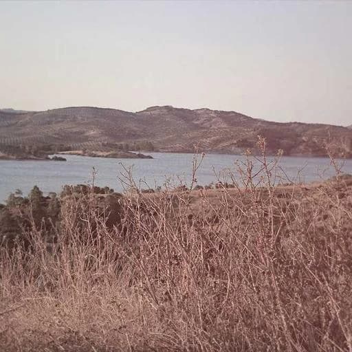 추가 이미지 1