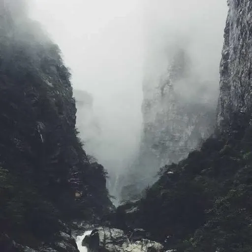 핵심 요약 이미지