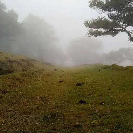 신청 방법 이미지