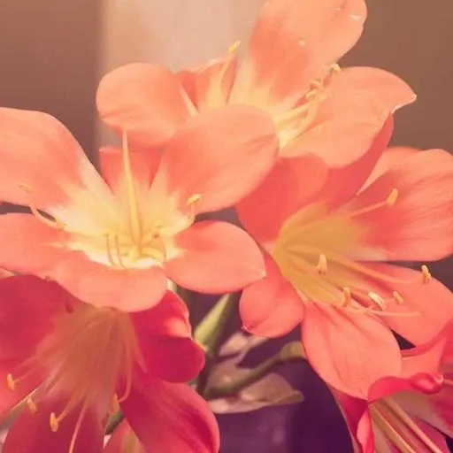 핵심 요약 이미지