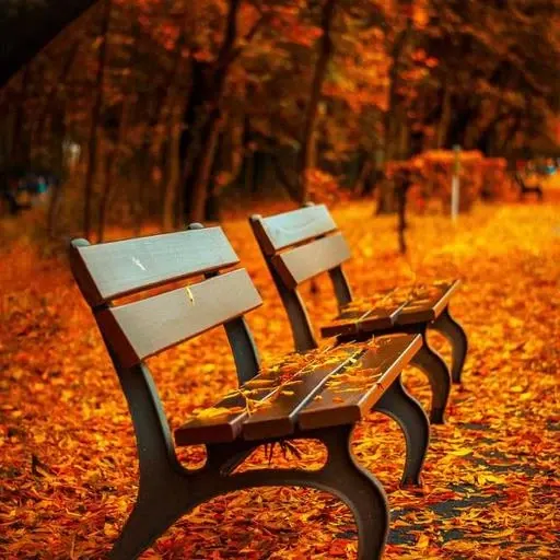 핵심 요약 이미지