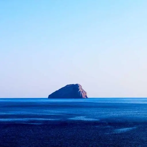 신청 방법 이미지
