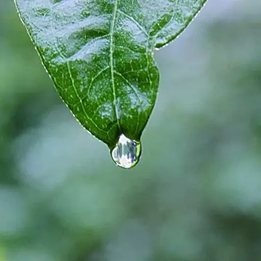 기타 정보 이미지
