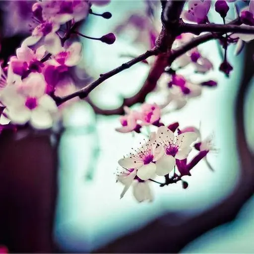 핵심 요약 이미지
