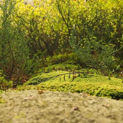 주의사항 및 유의점 이미지